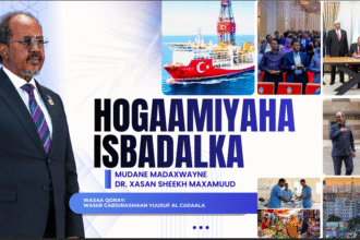 Hoggaamiyaha isbadalka (warbixin)